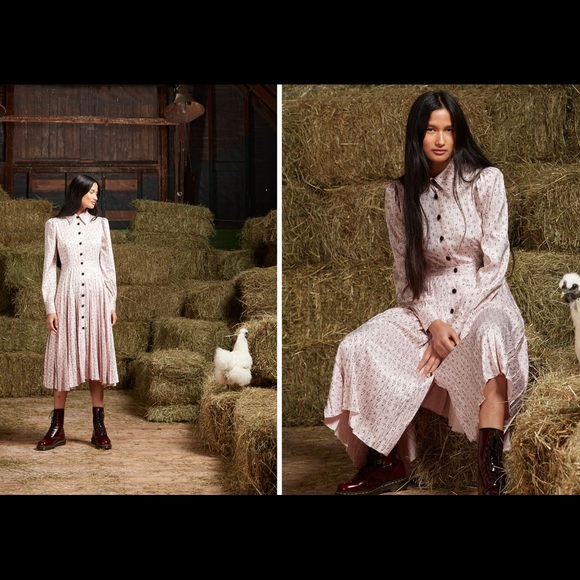 Rachel Antonoff Fanny Pleated Shirt Dress - Picture 3 of 12